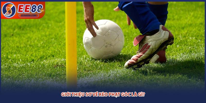Giới thiệu sơ về kèo phạt góc là gì?