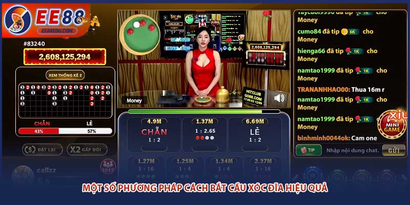 Một số phương pháp cách bắt cầu xóc đĩa hiệu quả